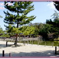 奈良公園－東大寺 - 5