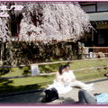 奈良公園－東大寺 - 7