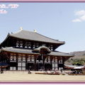 奈良公園－東大寺 - 15