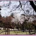 奈良公園－東大寺 - 21