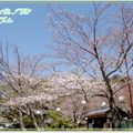 奈良公園－春日野午餐 - 6