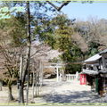 奈良公園－春日野午餐 - 8