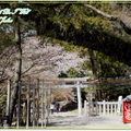 奈良公園－春日野午餐 - 32