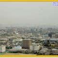 大阪麗嘉皇家飯店－24F景色 - 35