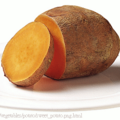 sweet_potato(甜薯)