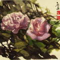 玫瑰画册 - 101
