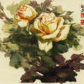 玫瑰画册 - 105