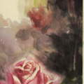 玫瑰画册 - 106