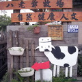 台南柳營八翁酪農專區---八老爺農場 - 1