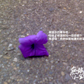 紫牽牛花-1