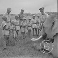孫立人帶幼年兵說大象林旺的故事