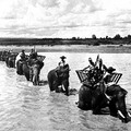 日軍的大象輜重隊正在渡河，其中之一頭就是赫赫有名的「林旺」被孫立人將軍送來台灣