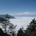 太平山的雲海