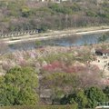天守閣俯瞰大阪城