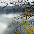 「奧地利」薩爾斯堡東側著名的湖區，通稱為薩爾斯卡古特，該湖呈狹長形狀，長10公里、寬 2公里，湖畔有長長的林帶和綠地，兩側皆有2000公尺左右的高山為鄰。