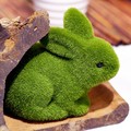 小綠兔