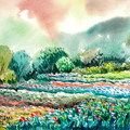 台北市士林區陽明山竹子湖的農業聚落，產業主要是：海芋、繡球、及其它果蔬等。為台北市重要的農業區之一。圖為竹子湖開始凋謝的海芋田