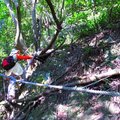 棄階梯步道,改走觀音山大峭壁路線登上占山第六峰
沿路陡峭需仰靠拉繩,步步為營
昏睡的頭腦立即清醒