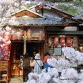 位於銀閣寺與南禪寺之間,琵琶湖疏水(運河)流經的散步道
兩岸重滿櫻花與楓樹,每天春秋時分吸引世界各地的遊客駐足搶拍
它事日本100選散歩道之ㄧ
曾經是日本哲學家西田幾多郎沉思冥想的散步道