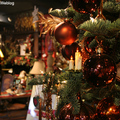 Kris Kringl 裡的聖誕燈飾 《8/29/2009》