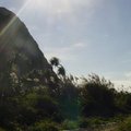 學校視野　→　饅頭山