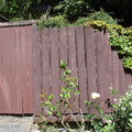 花園旁老爺子新漆的木門。木門後是戶外晾衣處。