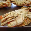 漁人碼頭每家餐廳幾乎都有的大螃蟹