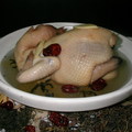 養生雞湯-金線蓮燉雞
