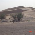 杜拜沙漠