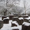 2008冬遊日本
