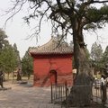 鄭州，中嶽廟