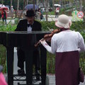 2011.2.16 花博(十七)法國鋼琴師街頭演奏 - 1