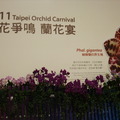 2011.3 花博(十八)爭艷館：台北國際蘭展.洛陽牡丹 - 1