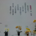 2011.3 花博(十八)爭艷館：台北國際蘭展.洛陽牡丹 - 3