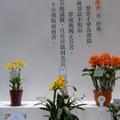 2011.3 花博(十八)爭艷館：台北國際蘭展.洛陽牡丹 - 1