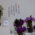 2011.3 花博(十八)爭艷館：台北國際蘭展.洛陽牡丹 - 3