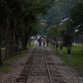 林田山林場,