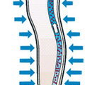 預防靜脈曲張彈性襪-圖1
