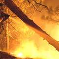 A firefighter works to control a backfire set in Running Springs, Calif., Wednesday Oct. 24, 2007