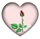 rose inside heart
