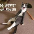 OMG!! Knock first, please!!