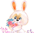 rabbit6