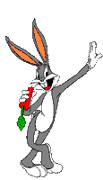 rabbit14