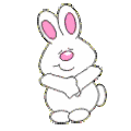 rabbit15