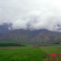 天山雲深不知處