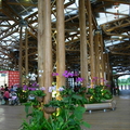 台北國際花卉博覽會~新生公園