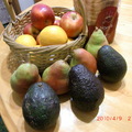 季節水果