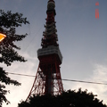 原本沒計劃去東京鐵塔，只是當日行程結束，老婆大人看到遠處的東京鐵塔，就說：不然我們去東京鐵塔吧！
旅行就是充滿驚喜，當天看到東京的夜景，還有鐵塔內展望台的樂團表演，
難得的悠閒時光。