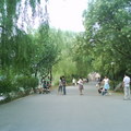 北京大學 - 2