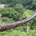內湖白石湖吊橋20100201 - 1